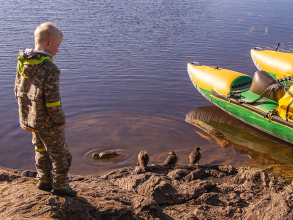 Утки и люди